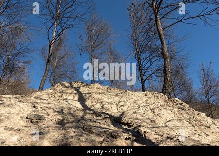 Burnt forest with shadow of charred trees projected on dry sand Stock Photo