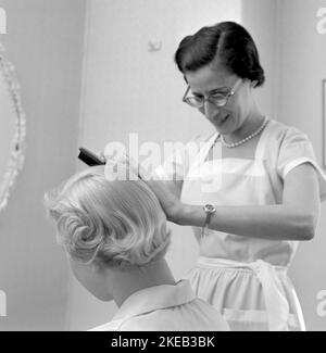 Getting a 1950s hairdo.  A hairdresser is seen combing a blond woman's hair. Sweden 1956. Conard. ref 3226 Stock Photo