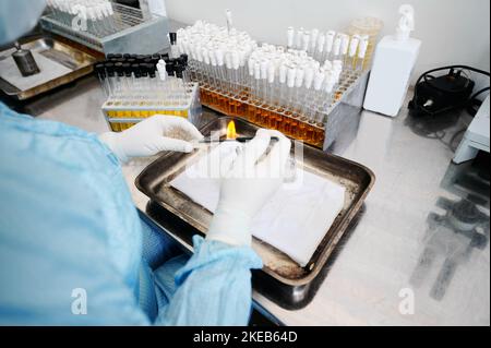 Laboratory assistant works on creating bacterial culture Stock Photo ...
