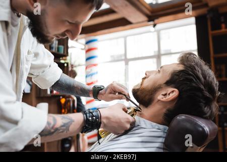 brunette bearded man near hairstylist working with comb and hair clipper,stock image Stock Photo