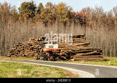 Closeup of logs stacked high in countryside. Stock Photo