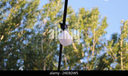 Hanging round white bulb with a natural backdrop. decorate outdoor of the house to celebrate and set the event. selective focus Stock Photo