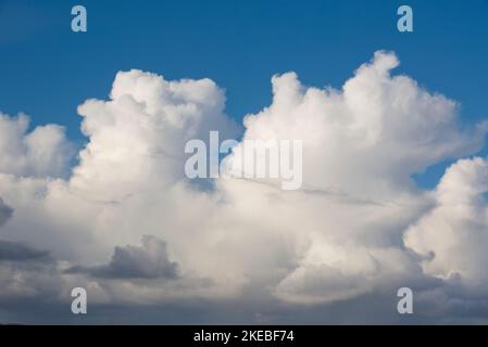 Cumulus congestus rain shower clouds, UK Stock Photo
