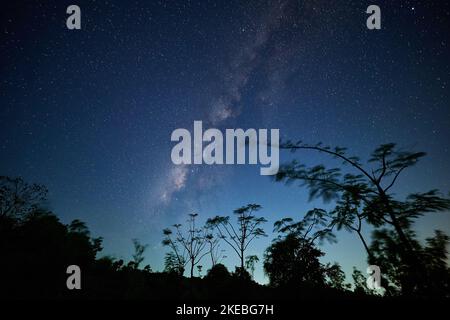 The mesmerizing starry night sky - great for a wallpaper Stock Photo ...