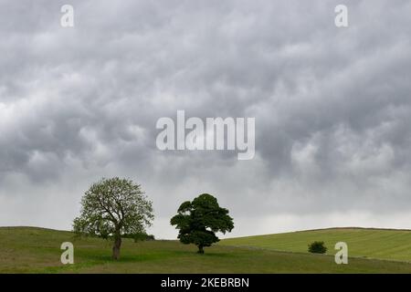 English landscape (Peak District) with trees and stormy skies - England, UK Stock Photo