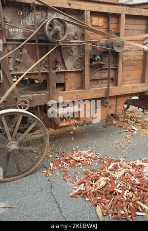 Italy, Lombardy, Historical Reenactment Farmer, Old Corn Shucking Machine, Stock Photo