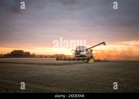 Combine harvester in sunset Stock Photo