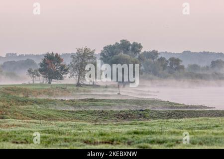 Morning ground fog in the Elbe foreland near Bleckede Stock Photo