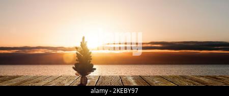 Small Christmas tree on the beach Stock Photo