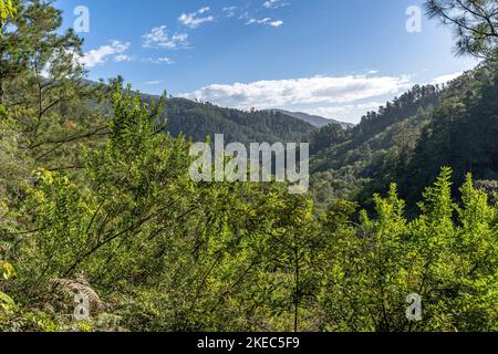 North America, Caribbean, Greater Antilles, Hispaniola Island, Dominican Republic, Central Cordillera, View over the Parque Nacional Armando Bermúdez in the ascent to Pico Duarte Stock Photo