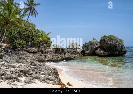 North America, Caribbean, Greater Antilles, Hispaniola Island, Dominican Republic, Sama, Las Galeras, Cabo Sama, beach scenery at Cabo Sama Stock Photo