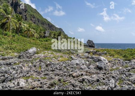 North America, Caribbean, Greater Antilles, Hispaniola Island, Dominican Republic, Sama, Las Galeras, Cabo Sama, coastal landscape at Cabo Sama Stock Photo
