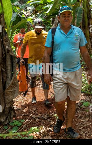 North America, Caribbean, Greater Antilles, Hispaniola Island, Dominican Republic, Sama, Las Galeras, Cabo Cabrón, Hiker with Tour Guide in the Tropical Forest of Cabo Cabrón Stock Photo