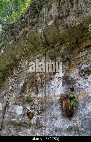 North America, Caribbean, Greater Antilles, Hispaniola Island, Dominican Republic, Puerto Plata Province, Tubagua, Los Charcos de los Militares, beehives on a rock face in tropical forest Stock Photo