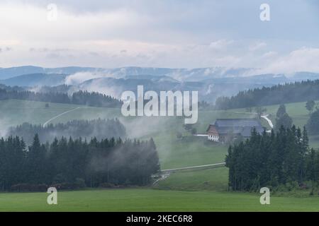 Europe, Germany, Southern Germany, Baden-Wuerttemberg, Black Forest, view of Christenmartinshof at Thurnerpass on a foggy morning Stock Photo