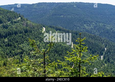 Europe, Germany, Southern Germany, Baden-Wuerttemberg, Black Forest, View of Black Forest High Road near Seebach Stock Photo