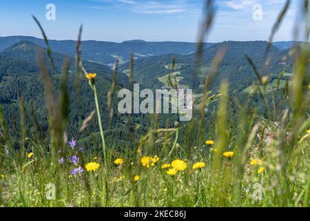 Europe, Germany, Southern Germany, Baden-Wuerttemberg, Black Forest, View from Bauernkopf to Bad Griesbach im Rottal Stock Photo