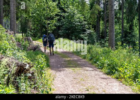 Europe, Germany, Southern Germany, Baden-Württemberg, Black Forest, Two hikers on the Westweg in the Black Forest Stock Photo