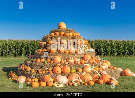 A collction of pumpkins arranged on a hay bale pyramid Stock Photo