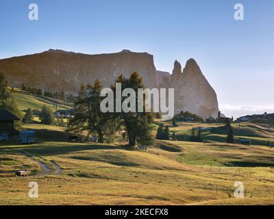 Alpe di Siusi with view of the Sciliar in the low evening sun Stock Photo