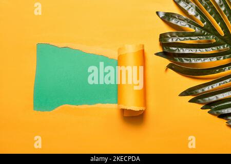 a torn piece of green paper on a yellow background with monster leaves, copy - space for your text or image Stock Photo