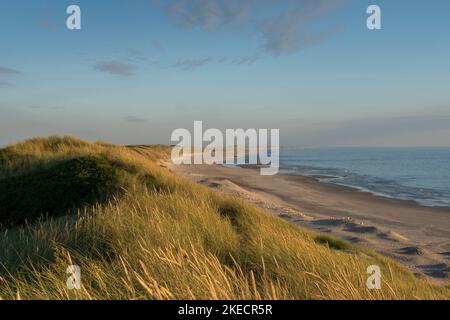 Wide North Sea coast in Hvide Sande in sunshine Stock Photo