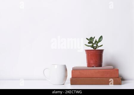 some books and a pot with a plant in it sitting on top of a stack of books next to a coffee mug Stock Photo