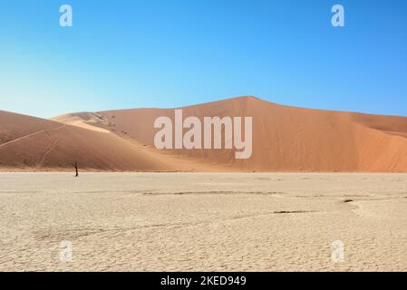 Giant sand dunes surrounding Dead Vlei, near Sossusvlei, in the Namib-Nuakluft Park, Namib Desert, Namibia Stock Photo