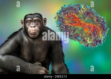 Monkeypox virus particle and chimpanzee, illustration Stock Photo