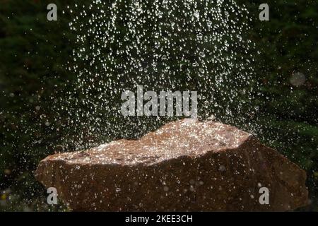 Rain drops falling on a rock Stock Photo