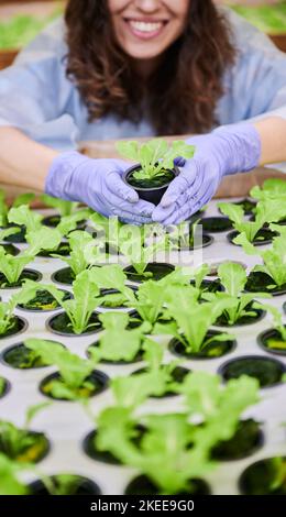 Close up of female holding pot with green plant seedlings. Happy agronomist standing near greenhouse shelf with seed trays while holding container with plant. Hands in garden gloves. Stock Photo