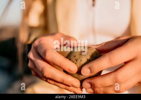 Woman's hands opening a fig to eat. Fresh ripe fig fruit in the hands. A young woman eats figs on the beach, near sea. Ficus carica, Fig - green Stock Photo