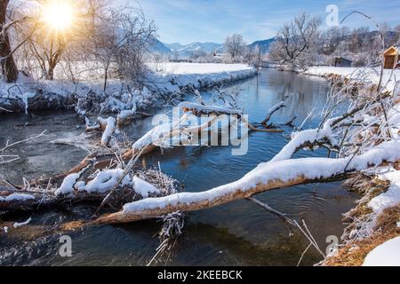 Frost und Eis an einem Fluss im Winter Stock Photo
