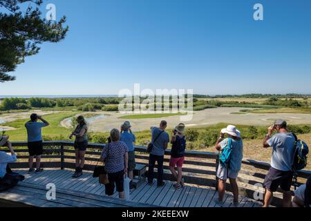 Birdwatchers on a viewpoint at Parc du Marquenterre bird sanctuary, Baie de Somme, France Stock Photo
