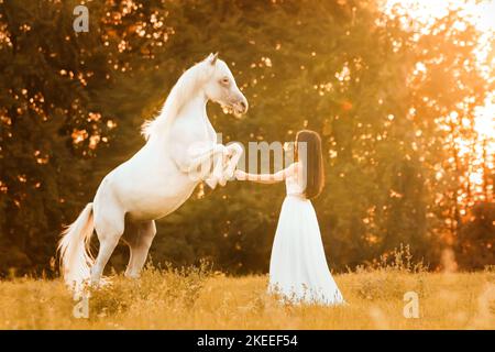 woman and arabian horse Stock Photo