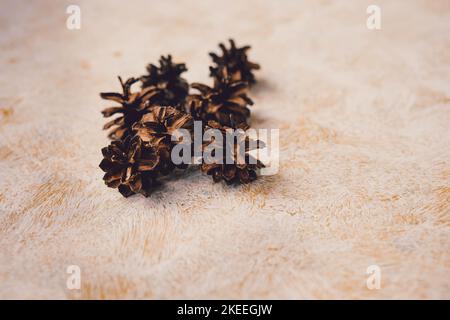 Dried pine cones on yellow background. creative composition with pine cones . winter time. diy material for hobbies. copy space Stock Photo