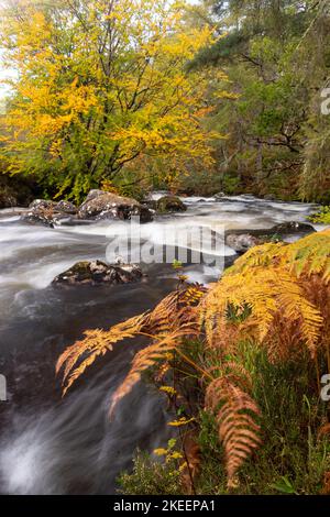 River in autumn colours, Gruinard, Scotland Stock Photo
