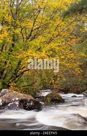 River in autumn colours, Gruinard, Scotland Stock Photo