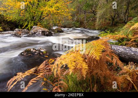 River in autumn colours, Gruinard, Scotland Stock Photo