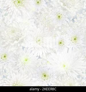 Chrysanthemum and Gypsophila white flower seamless romantic background Stock Photo