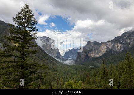 Valley in Yosemeti National Park with conifers, low clouds, cloudy sky and patches of fog, California, USA Stock Photo