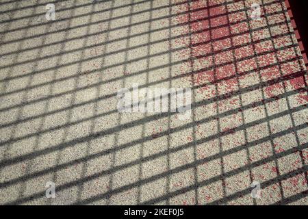 Net shape shadow of metal fence on cement floor. Light spilled through the steel wire of railings on concrete. Stock Photo