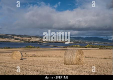 The image is of freshly cut hay fields looking towards the Cromarty Firth and bridge just north of Inverness Stock Photo