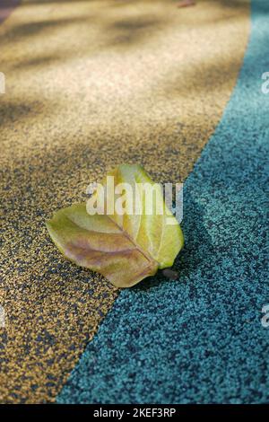 Dry brown leaf on wooden background  Stock Photo