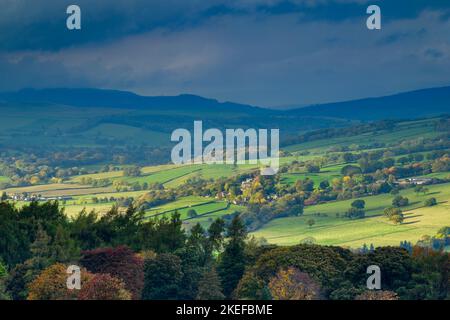 Scenic sunlit rural Wharfedale landscape (green valley, undulating hills, sunlight on farmland fields, autumn colours) - West Yorkshire, England, UK. Stock Photo