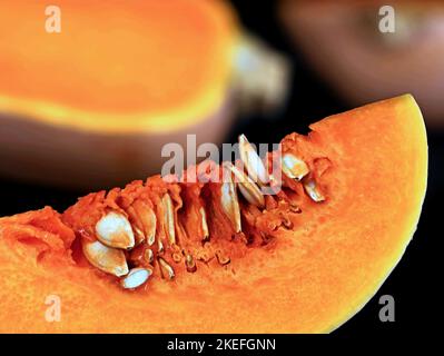 slice of butternut squash isolated on black background, healthy and popular pumpkin with nutty flavor Stock Photo