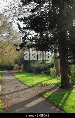 Shadows from trees fall across the foot path the runs through wooded parkland Stock Photo