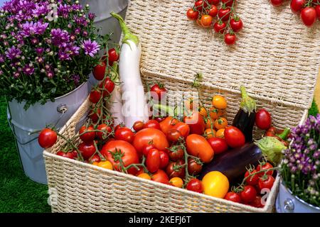 Harvesting in garden. Various freshly harvested ripe vegetables (tomatoes, cherry tomatoes, peppers, zucchini, eggplant) in wicker box top view. Stock Photo