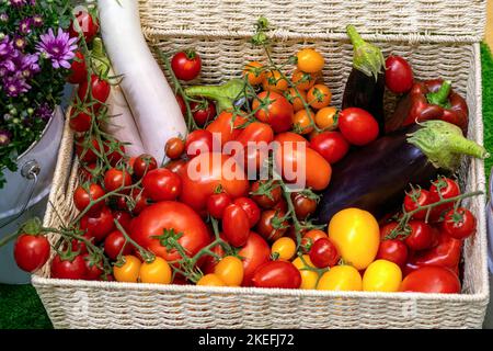 Harvesting in garden. Various freshly harvested ripe vegetables (tomatoes, cherry tomatoes, peppers, zucchini, eggplant) in wicker box top view. Stock Photo