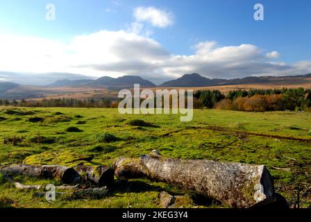 Rhinogs From The Rhinogs (Rhinogydd) from Bronaber, Snowdonia Stock Photo - Alamy